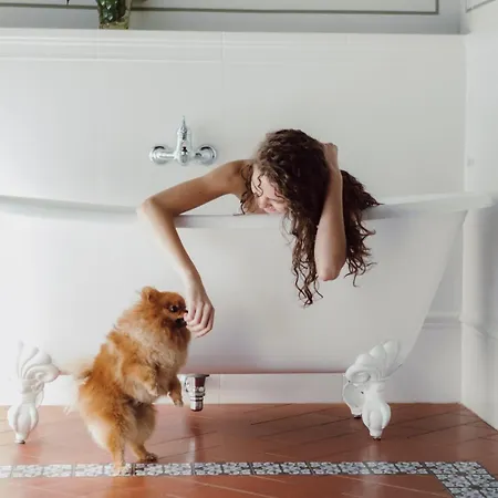 Torre A Cona Wine Estate 4* San Donato in Collina