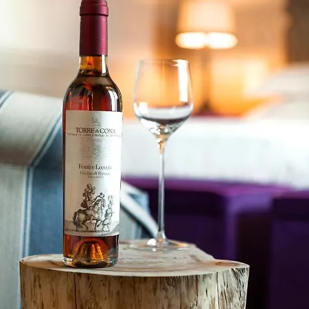 Hotel Torre A Cona Wine Estate 4*