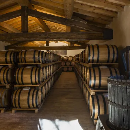 Hotel Torre A Cona Wine Estate