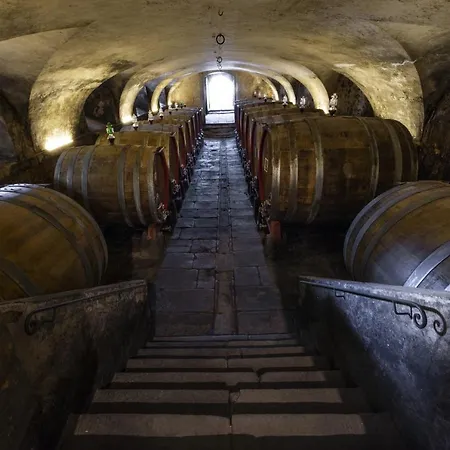 Hotel Torre A Cona Wine Estate