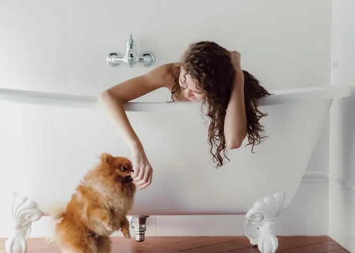 Torre A Cona Wine Estate 4* San Donato in Collina