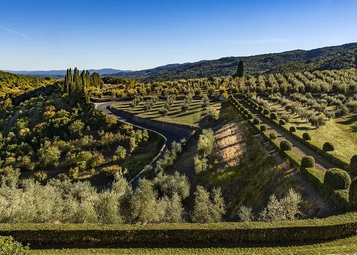 Torre A Cona Wine Estate 酒店 4*