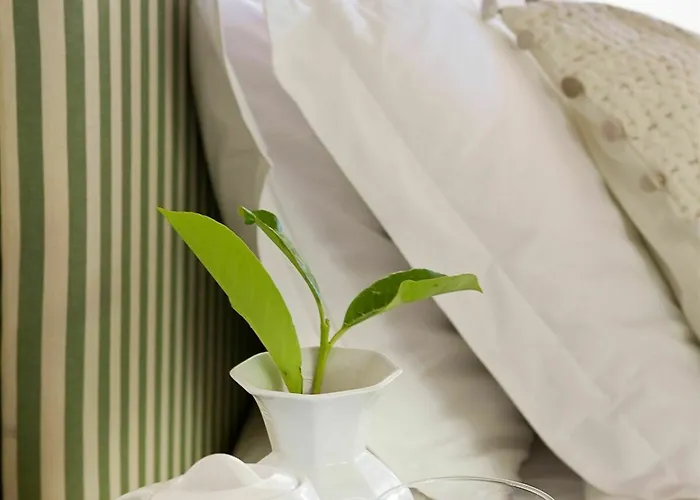 酒店 Torre A Cona Wine Estate San Donato in Collina