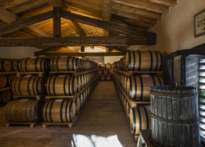 酒店 Torre A Cona Wine Estate