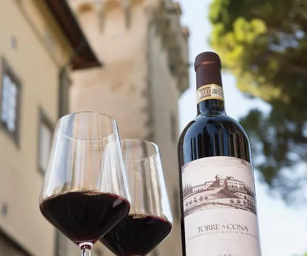 酒店 Torre A Cona Wine Estate